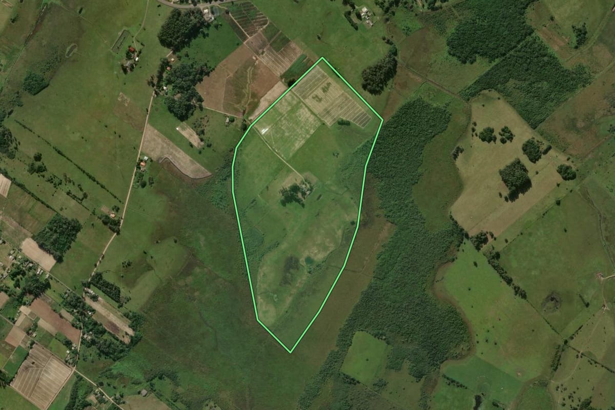 Imagem de satélite do imóvel rural em Terra de Areia (RS), com o contorno declarado no CAR desenhado por cima.