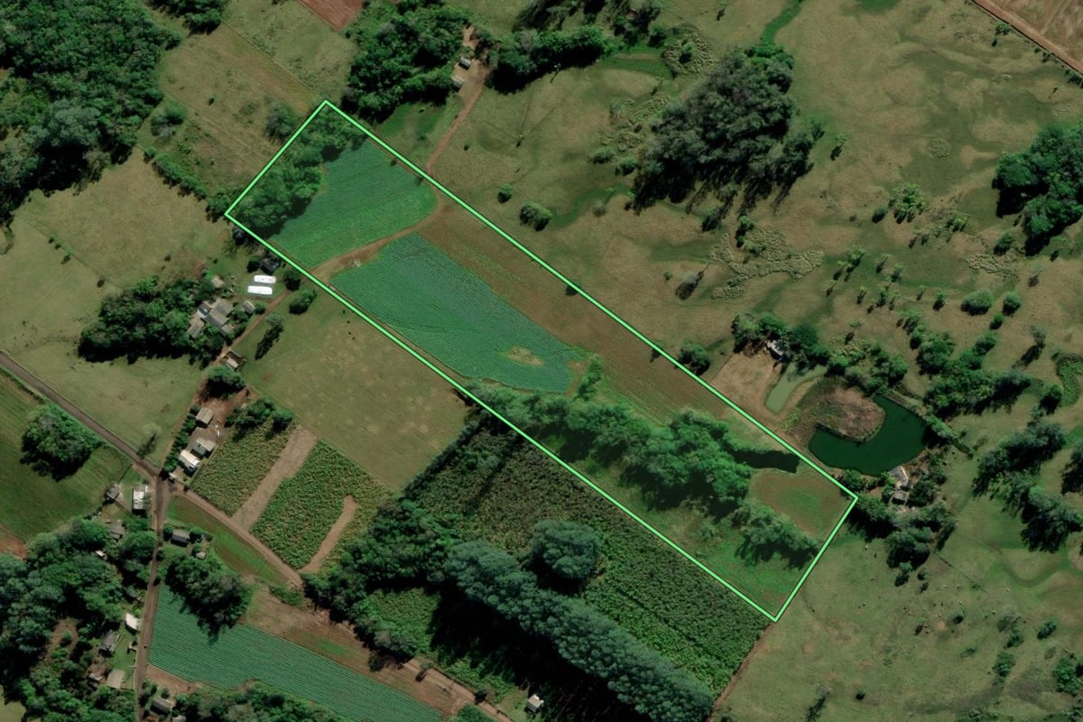 Imagem de satélite do imóvel rural em Terra de Areia (RS), com o contorno declarado no CAR desenhado por cima.