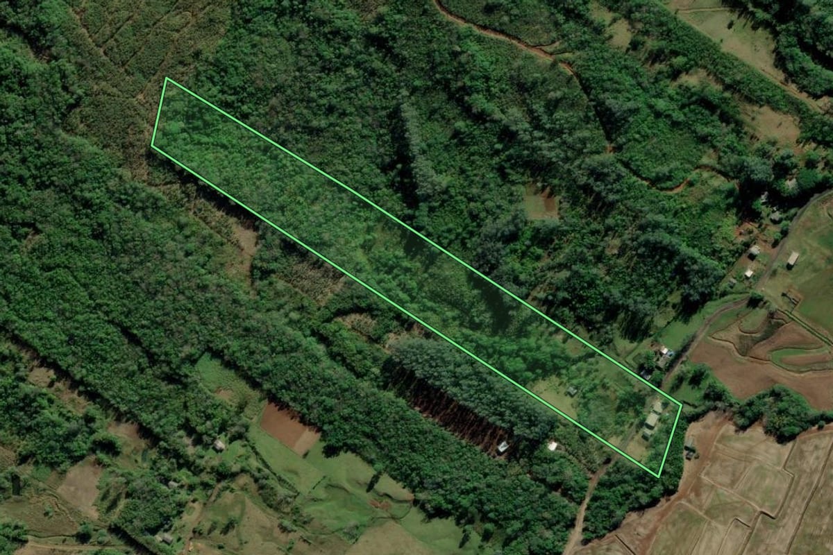 Imagem de satélite do imóvel rural em Terra de Areia (RS), com o contorno declarado no CAR desenhado por cima.