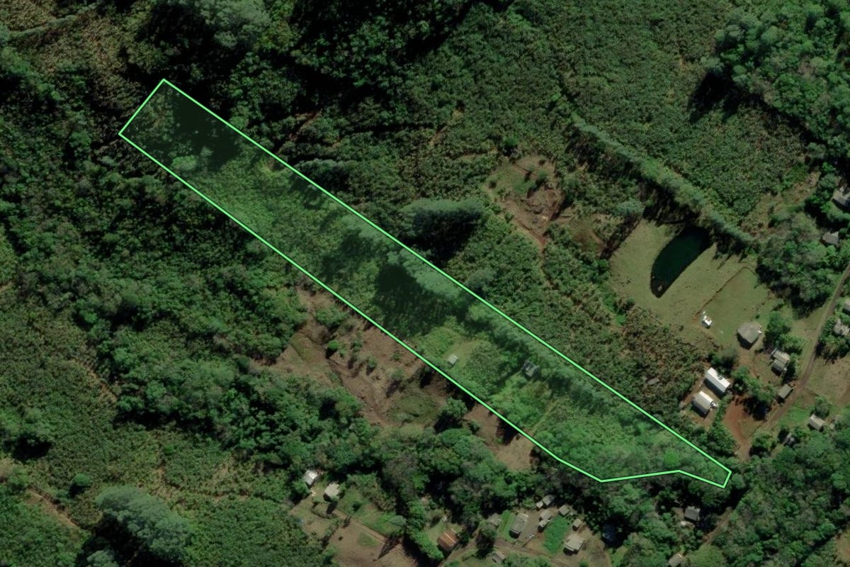 Imagem de satélite do imóvel rural em Terra de Areia (RS), com o contorno declarado no CAR desenhado por cima.