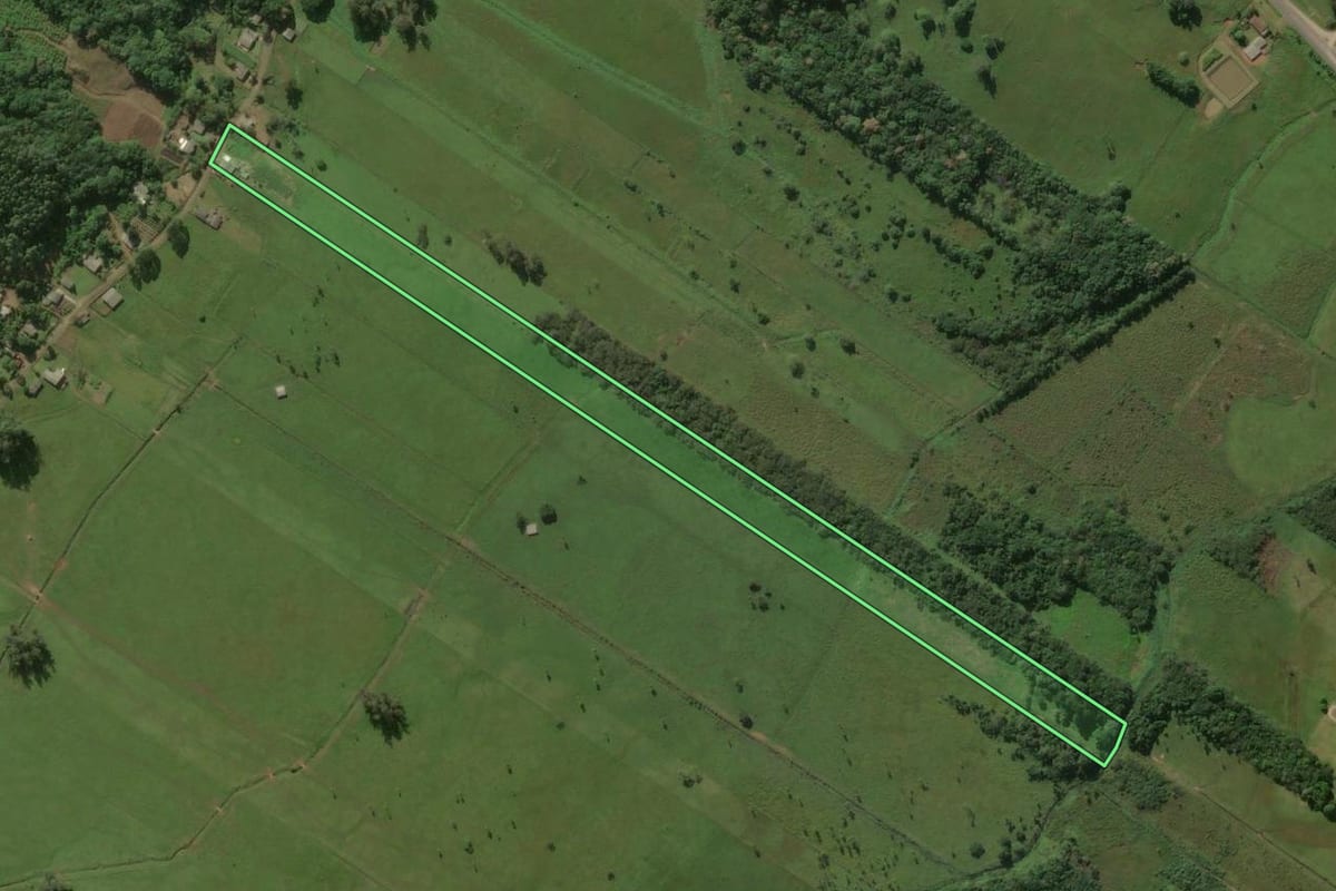 Imagem de satélite do imóvel rural em Terra de Areia (RS), com o contorno declarado no CAR desenhado por cima.