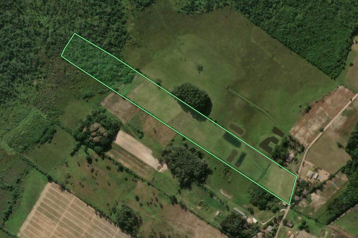 Imagem de satélite do imóvel rural em Terra de Areia (RS), com o contorno declarado no CAR desenhado por cima.