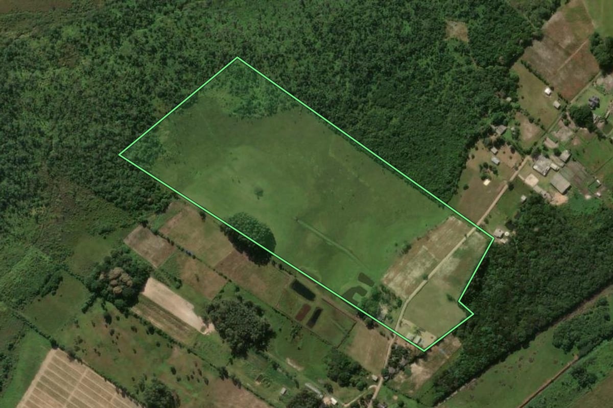 Imagem de satélite do imóvel rural em Terra de Areia (RS), com o contorno declarado no CAR desenhado por cima.