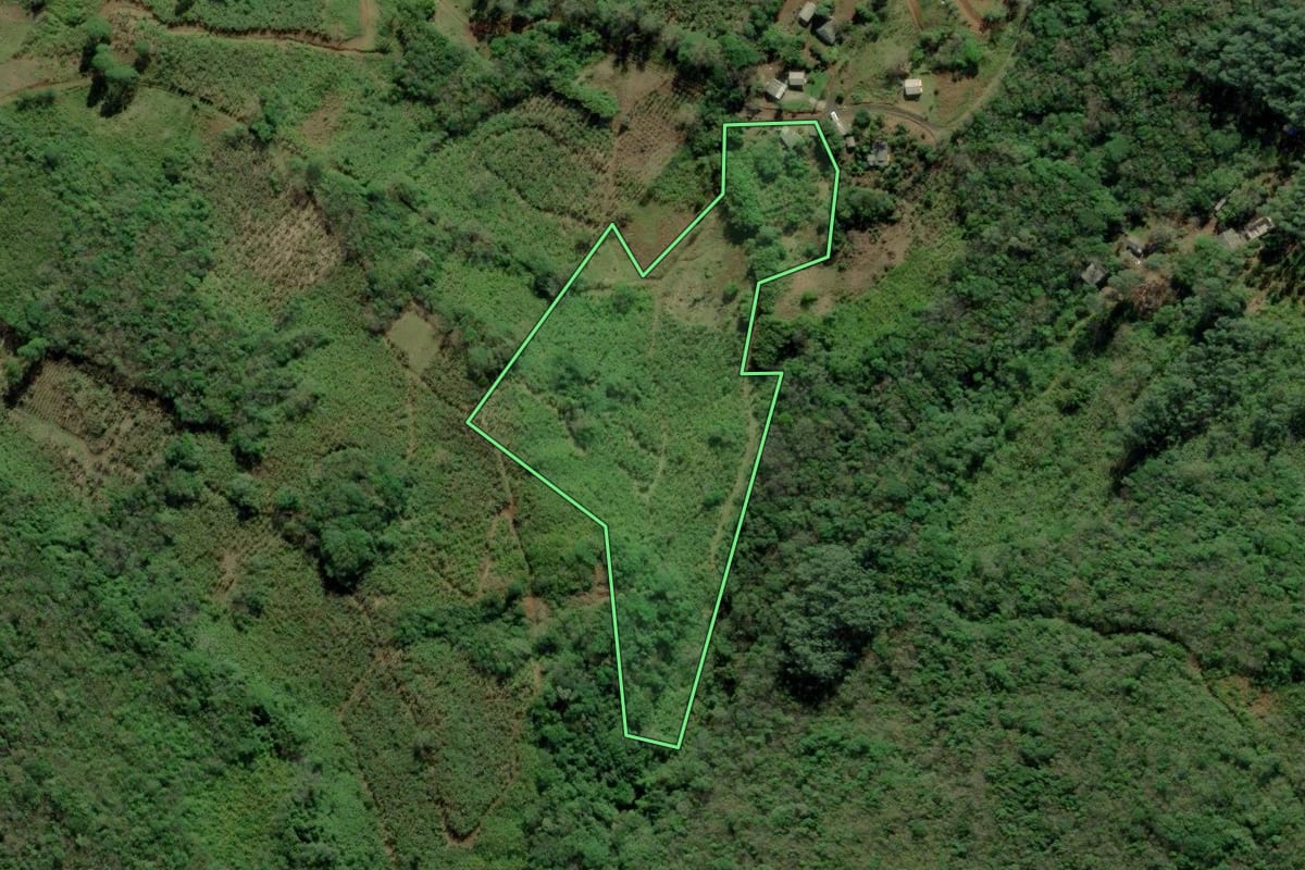 Imagem de satélite do imóvel rural em Terra de Areia (RS), com o contorno declarado no CAR desenhado por cima.