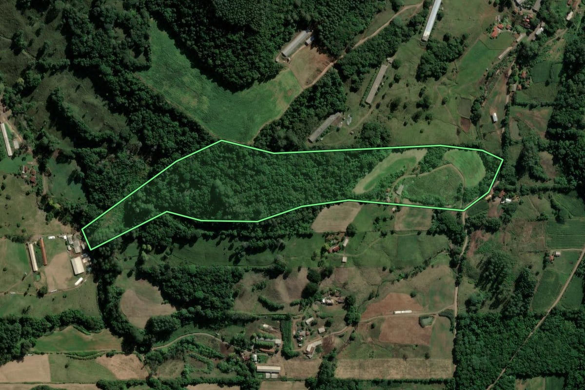 Imagem de satélite do imóvel rural em Teutônia (RS), com o contorno declarado no CAR desenhado por cima.
