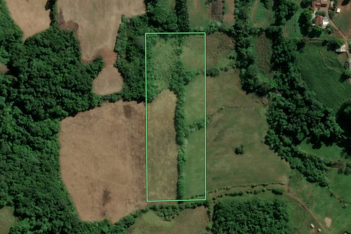 Imagem de satélite do imóvel rural em Teutônia (RS), com o contorno declarado no CAR desenhado por cima.