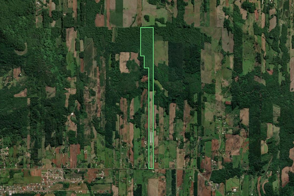 Imagem de satélite do imóvel rural em Teutônia (RS), com o contorno declarado no CAR desenhado por cima.