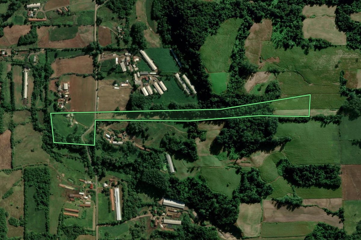 Imagem de satélite do imóvel rural em Teutônia (RS), com o contorno declarado no CAR desenhado por cima.