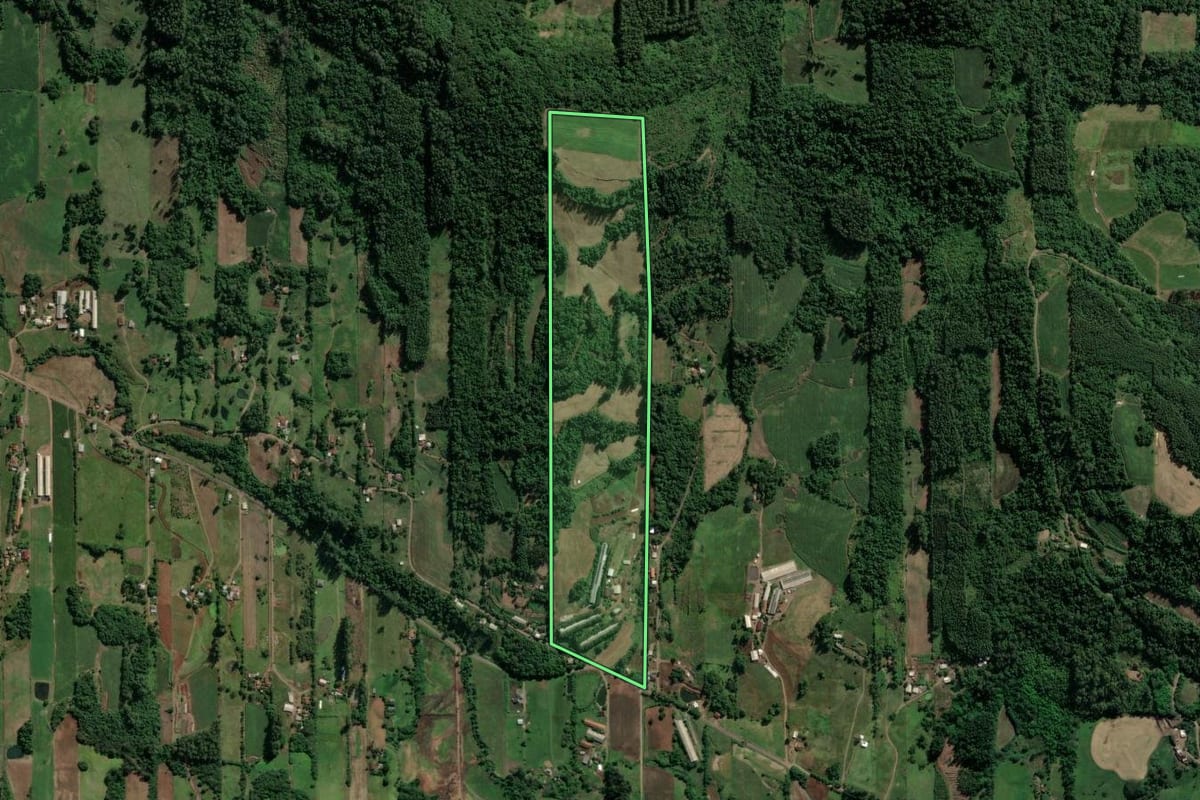Imagem de satélite do imóvel rural em Teutônia (RS), com o contorno declarado no CAR desenhado por cima.