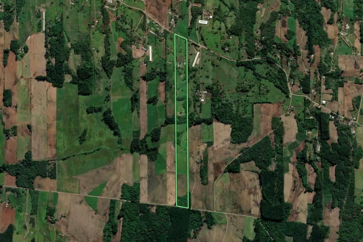 Imagem de satélite do imóvel rural em Teutônia (RS), com o contorno declarado no CAR desenhado por cima.