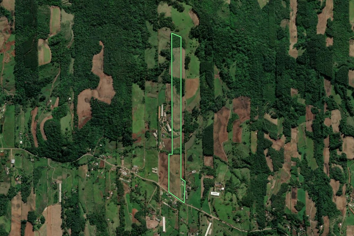 Imagem de satélite do imóvel rural em Teutônia (RS), com o contorno declarado no CAR desenhado por cima.