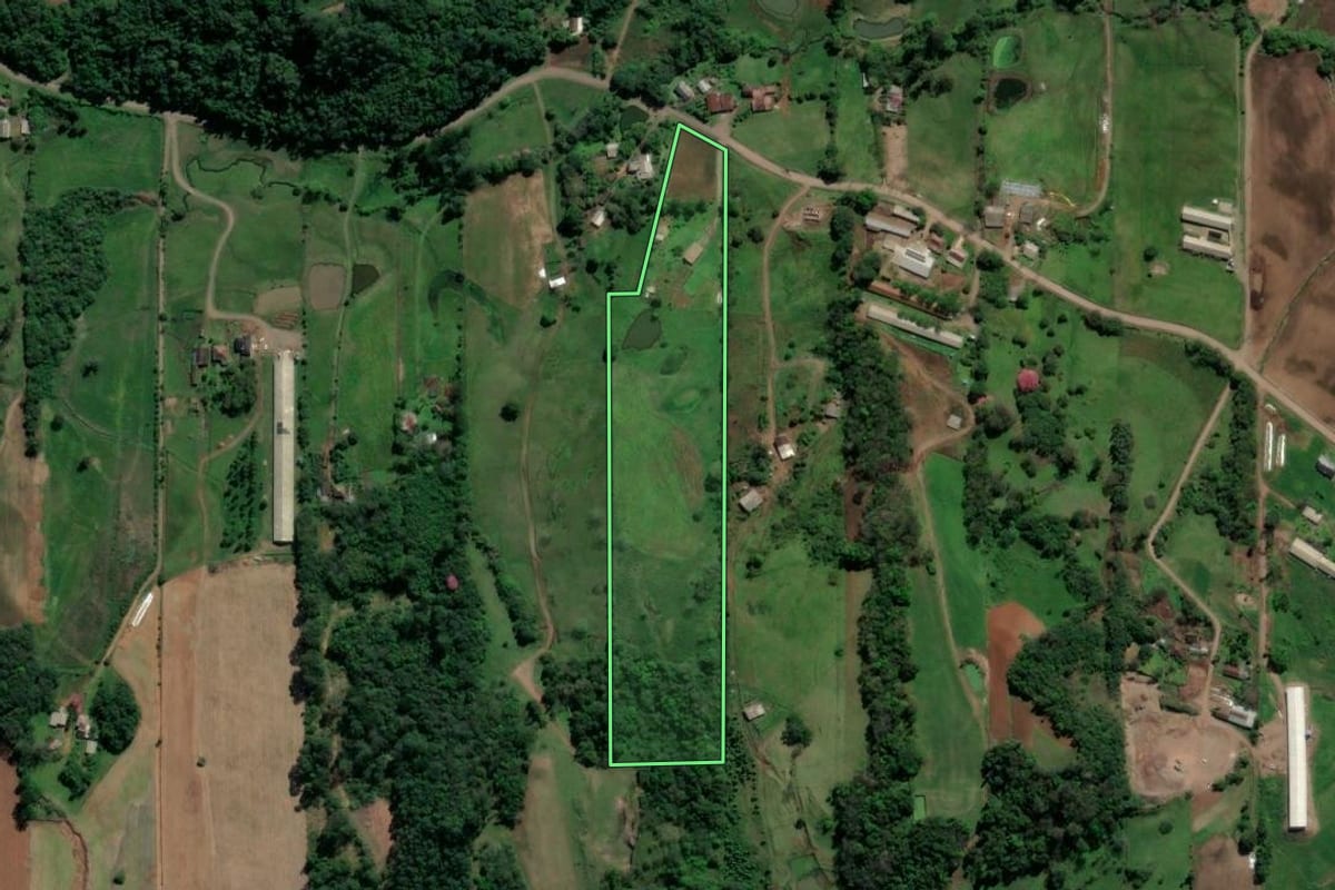 Imagem de satélite do imóvel rural em Teutônia (RS), com o contorno declarado no CAR desenhado por cima.
