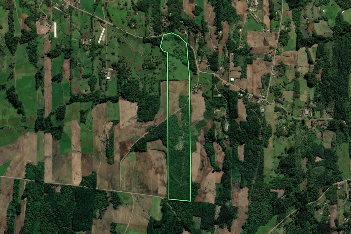 Imagem de satélite do imóvel rural em Teutônia (RS), com o contorno declarado no CAR desenhado por cima.