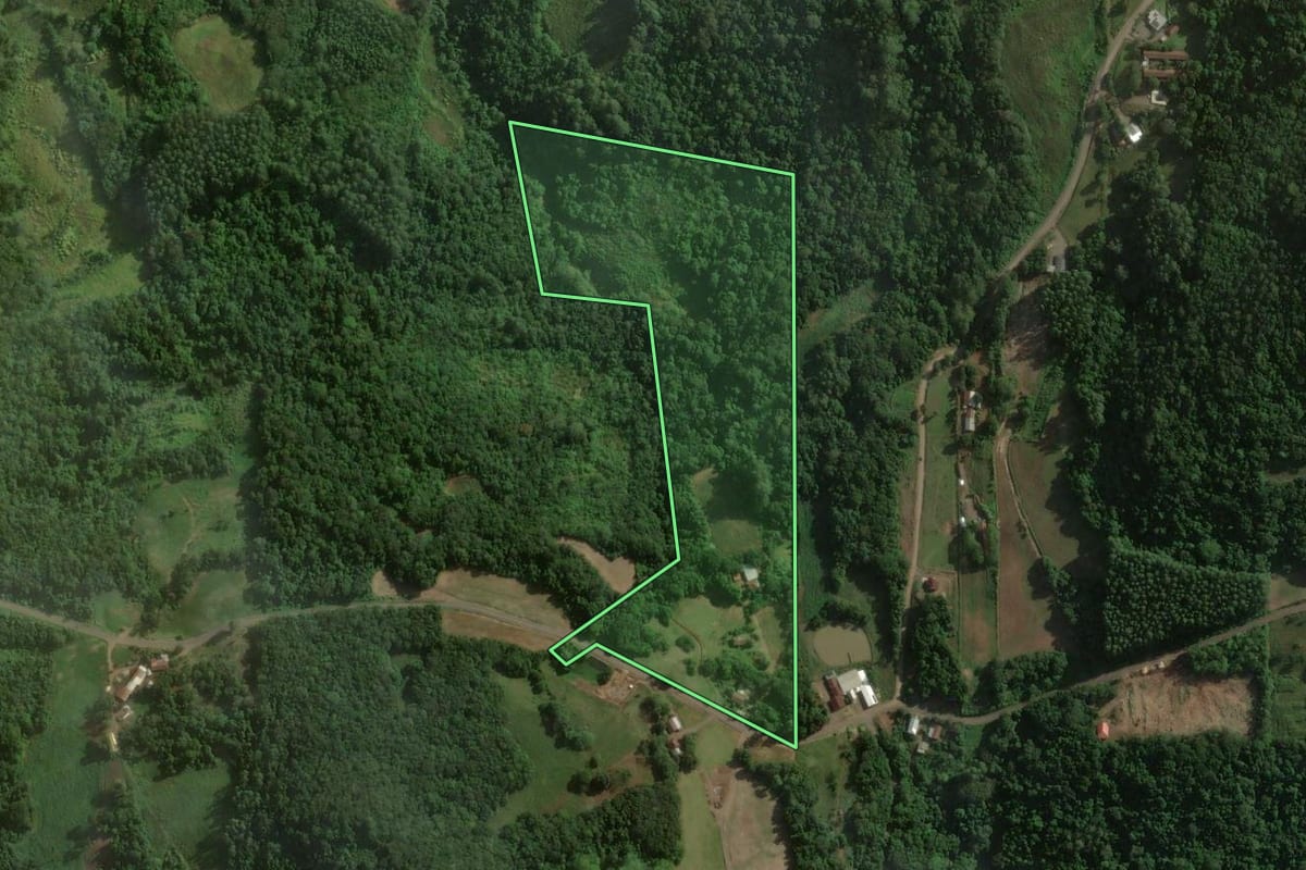 Imagem de satélite do imóvel rural em Teutônia (RS), com o contorno declarado no CAR desenhado por cima.