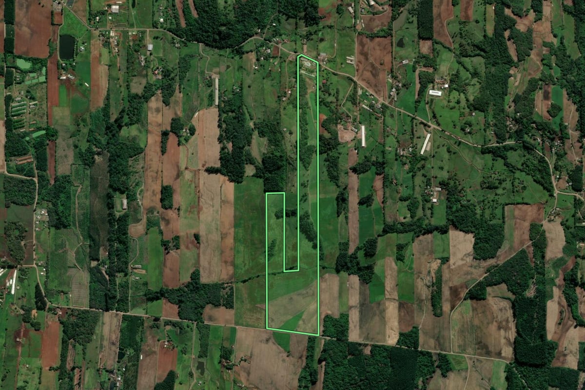 Imagem de satélite do imóvel rural em Teutônia (RS), com o contorno declarado no CAR desenhado por cima.