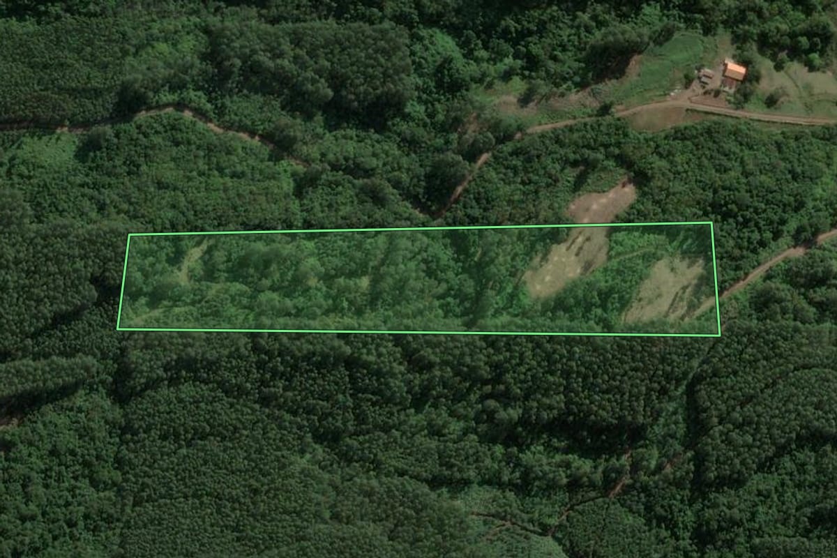 Imagem de satélite do imóvel rural em Teutônia (RS), com o contorno declarado no CAR desenhado por cima.