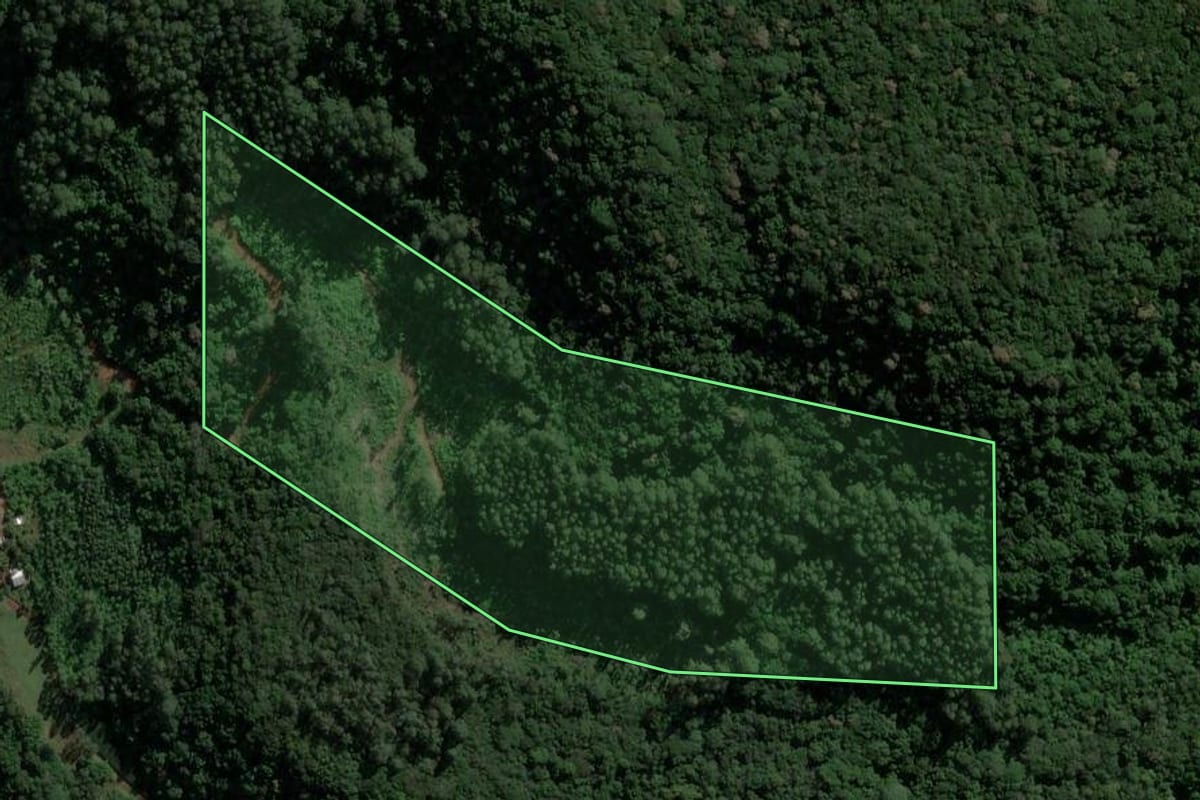 Imagem de satélite do imóvel rural em Teutônia (RS), com o contorno declarado no CAR desenhado por cima.