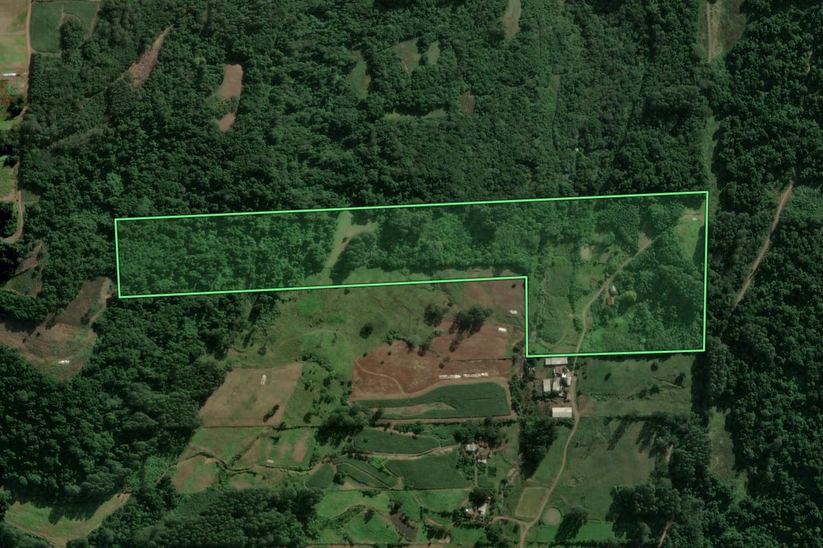 Imagem de satélite do imóvel rural em Teutônia (RS), com o contorno declarado no CAR desenhado por cima.
