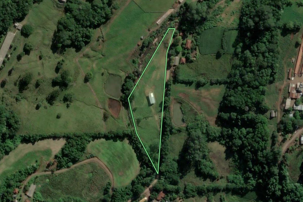 Imagem de satélite do imóvel rural em Teutônia (RS), com o contorno declarado no CAR desenhado por cima.