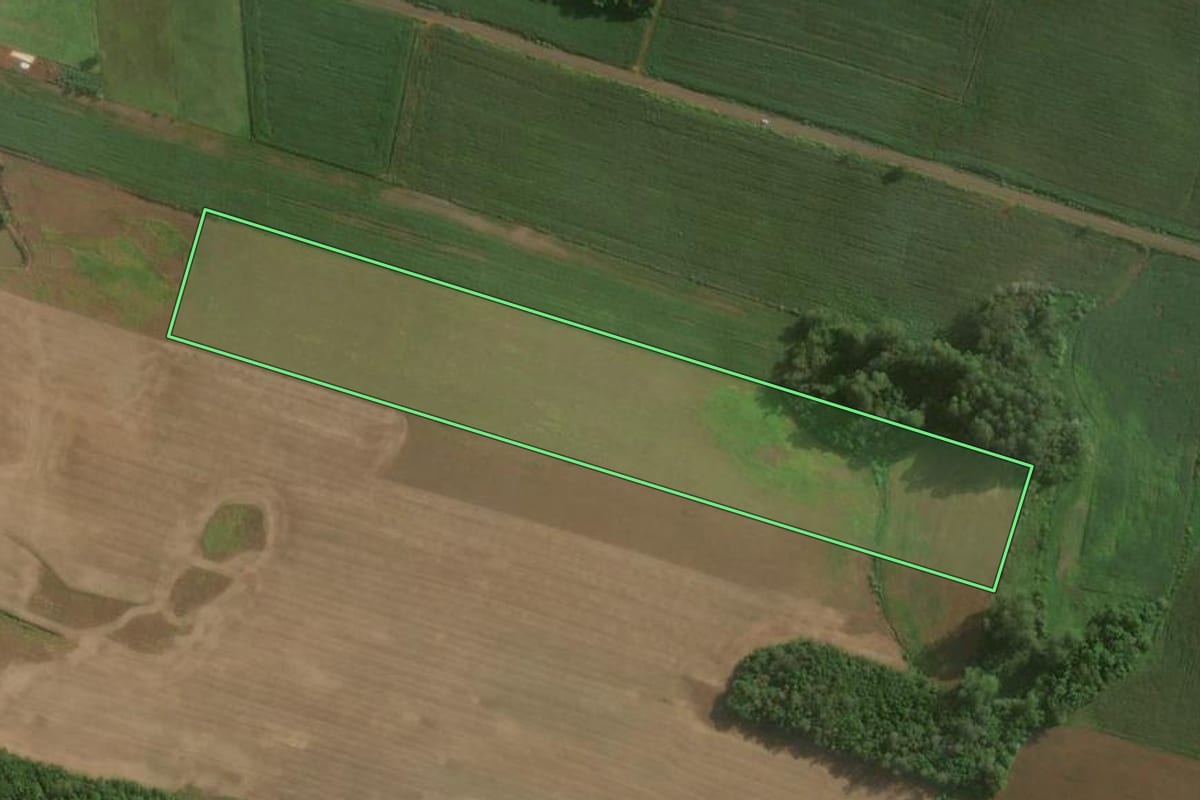 Imagem de satélite do imóvel rural em Teutônia (RS), com o contorno declarado no CAR desenhado por cima.