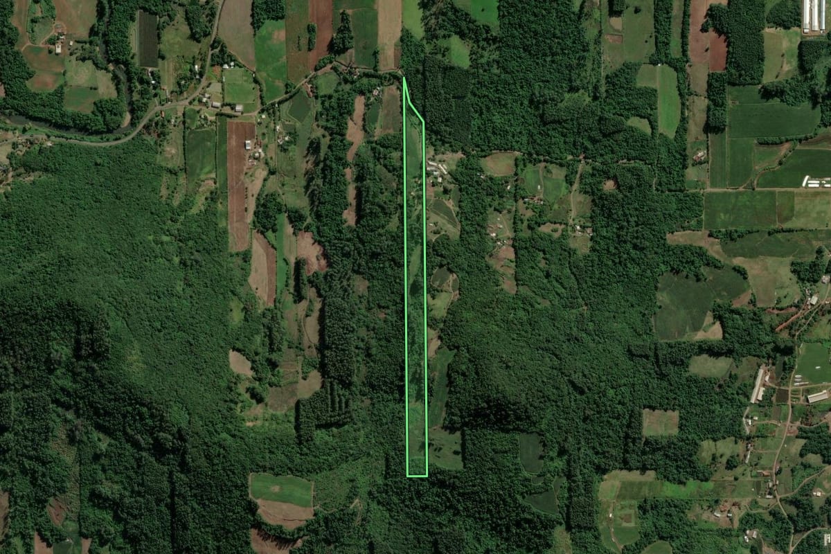 Imagem de satélite do imóvel rural em Teutônia (RS), com o contorno declarado no CAR desenhado por cima.