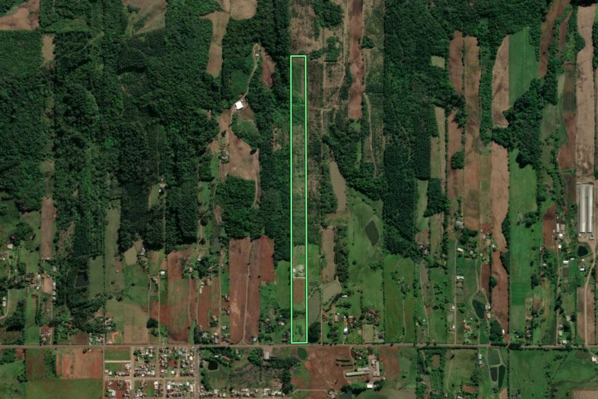 Imagem de satélite do imóvel rural em Teutônia (RS), com o contorno declarado no CAR desenhado por cima.
