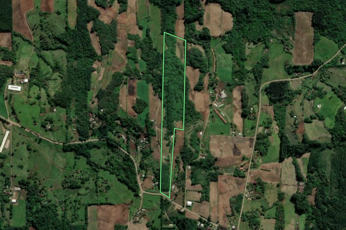 Imagem de satélite do imóvel rural em Teutônia (RS), com o contorno declarado no CAR desenhado por cima.
