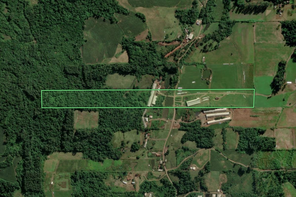 Imagem de satélite do imóvel rural em Teutônia (RS), com o contorno declarado no CAR desenhado por cima.