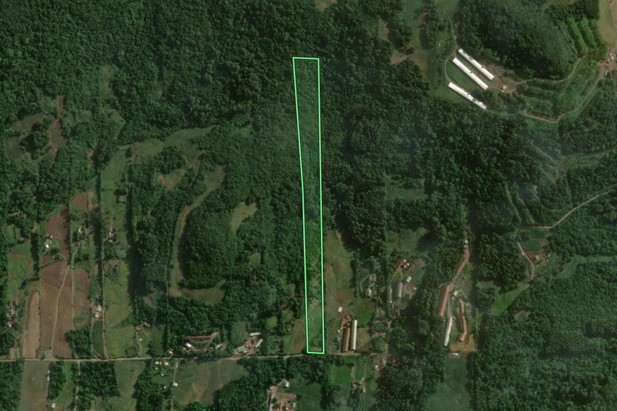 Imagem de satélite do imóvel rural em Teutônia (RS), com o contorno declarado no CAR desenhado por cima.