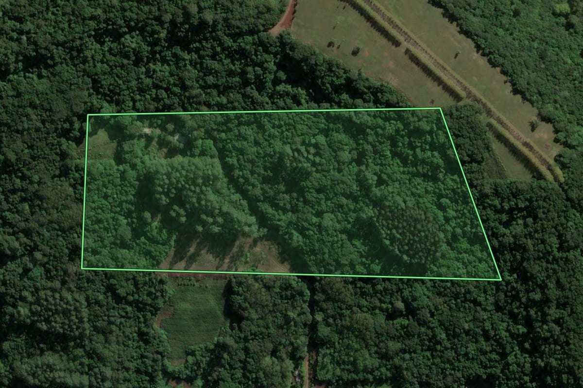 Imagem de satélite do imóvel rural em Teutônia (RS), com o contorno declarado no CAR desenhado por cima.
