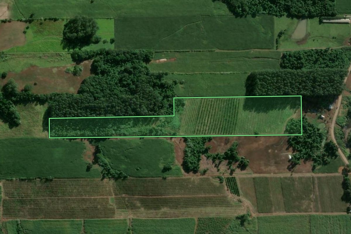 Imagem de satélite do imóvel rural em Teutônia (RS), com o contorno declarado no CAR desenhado por cima.
