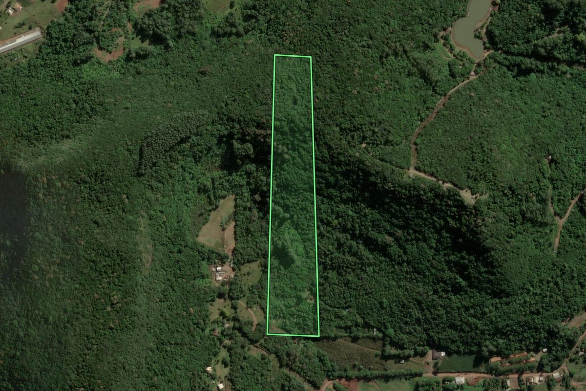 Imagem de satélite do imóvel rural em Teutônia (RS), com o contorno declarado no CAR desenhado por cima.