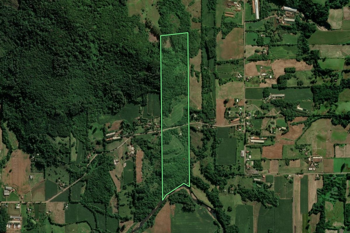 Imagem de satélite do imóvel rural em Teutônia (RS), com o contorno declarado no CAR desenhado por cima.