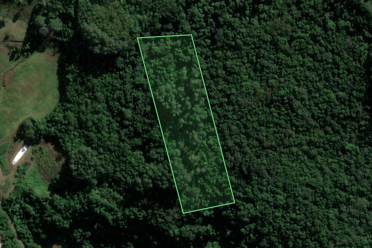 Imagem de satélite do imóvel rural em Teutônia (RS), com o contorno declarado no CAR desenhado por cima.