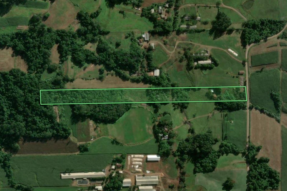 Imagem de satélite do imóvel rural em Teutônia (RS), com o contorno declarado no CAR desenhado por cima.