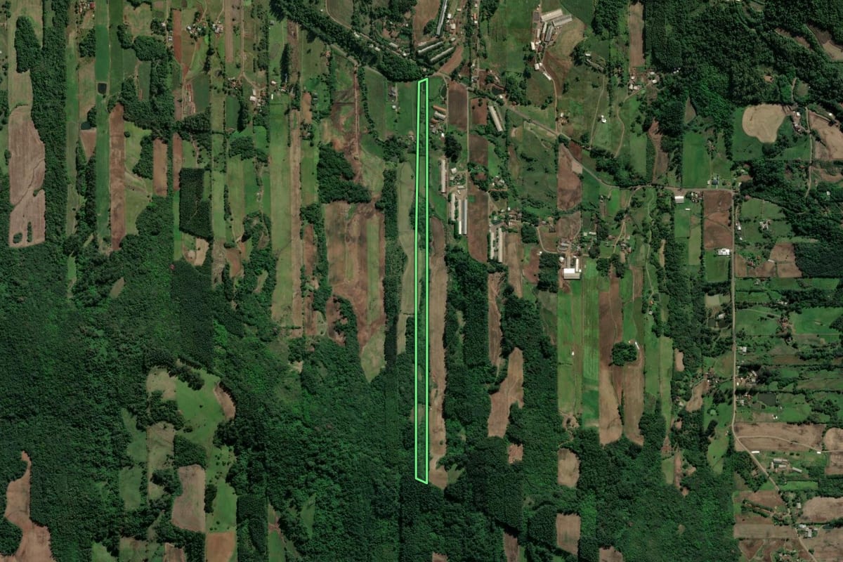 Imagem de satélite do imóvel rural em Teutônia (RS), com o contorno declarado no CAR desenhado por cima.