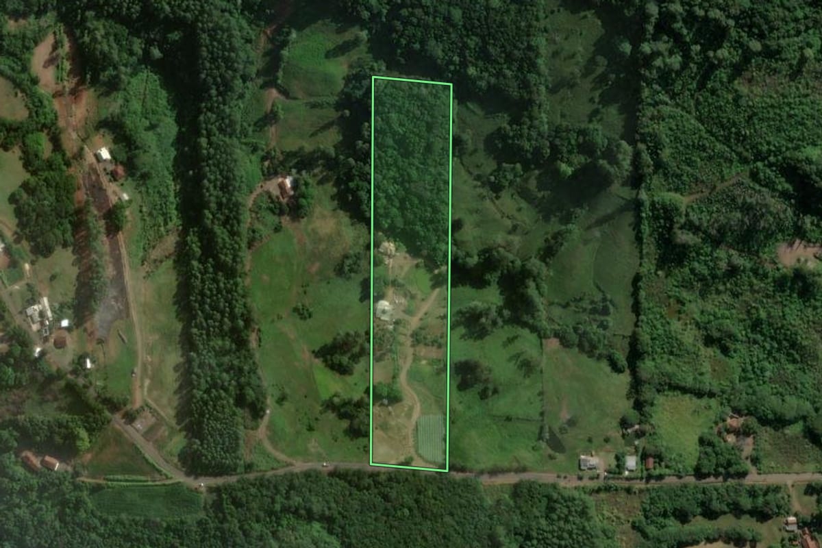 Imagem de satélite do imóvel rural em Teutônia (RS), com o contorno declarado no CAR desenhado por cima.