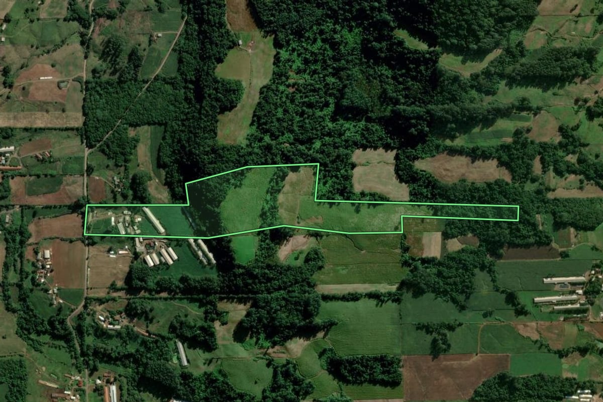 Imagem de satélite do imóvel rural em Teutônia (RS), com o contorno declarado no CAR desenhado por cima.