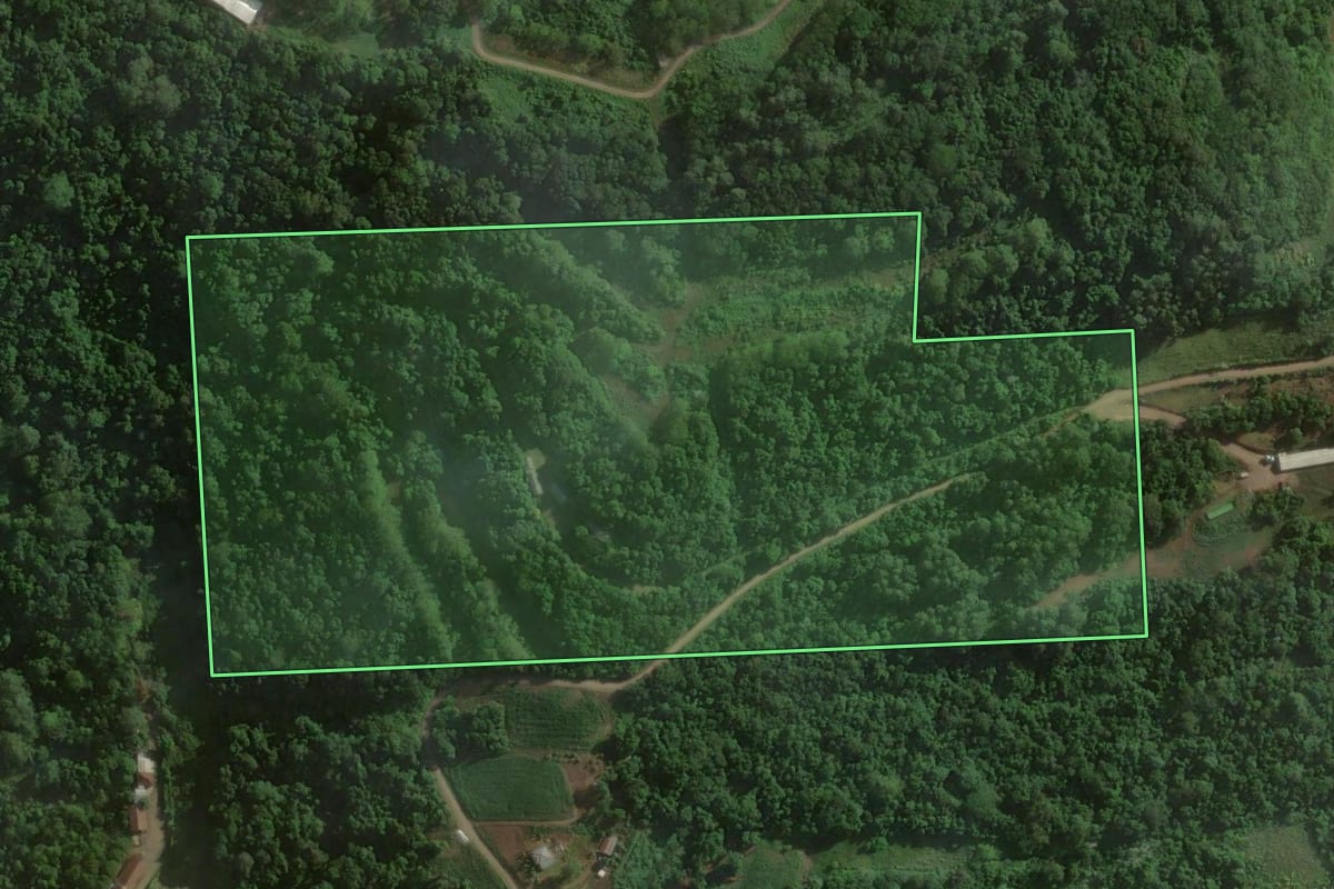 Imagem de satélite do imóvel rural em Teutônia (RS), com o contorno declarado no CAR desenhado por cima.