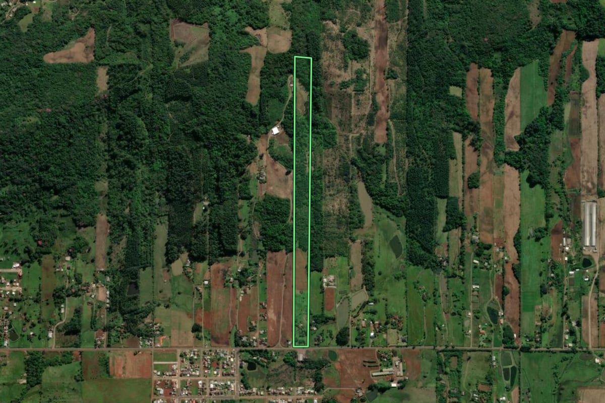 Imagem de satélite do imóvel rural em Teutônia (RS), com o contorno declarado no CAR desenhado por cima.