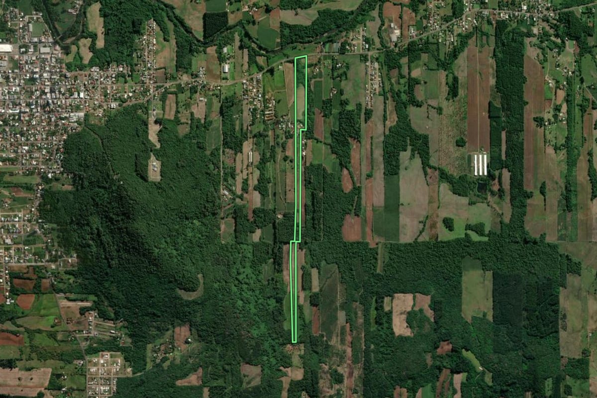 Imagem de satélite do imóvel rural em Teutônia (RS), com o contorno declarado no CAR desenhado por cima.