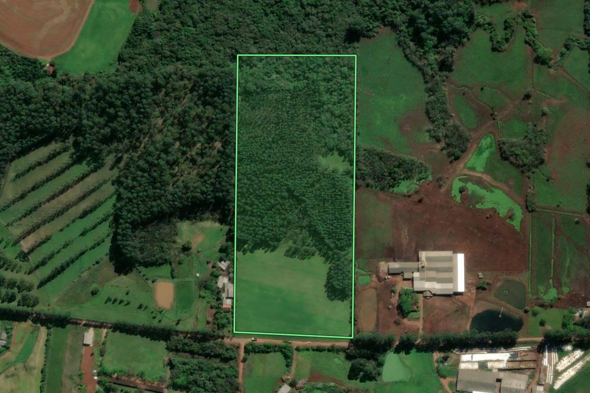 Imagem de satélite do imóvel rural em Teutônia (RS), com o contorno declarado no CAR desenhado por cima.