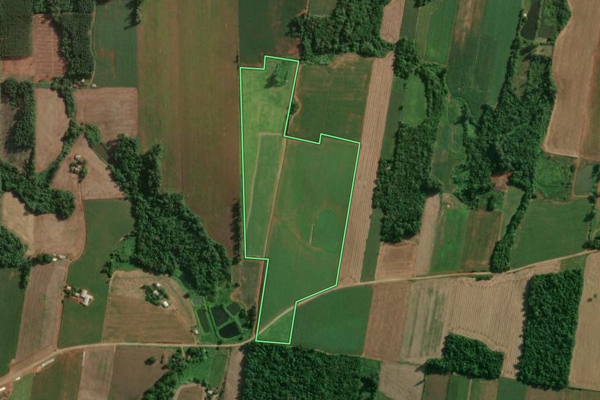 Imagem de satélite do imóvel rural em Teutônia (RS), com o contorno declarado no CAR desenhado por cima.