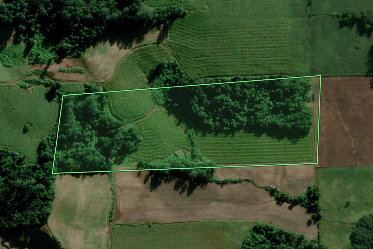 Imagem de satélite do imóvel rural em Teutônia (RS), com o contorno declarado no CAR desenhado por cima.