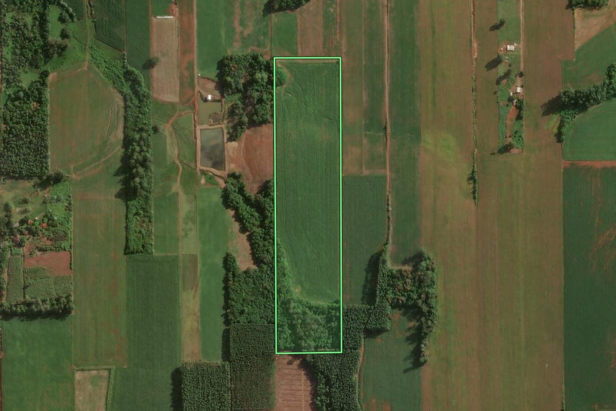 Imagem de satélite do imóvel rural em Teutônia (RS), com o contorno declarado no CAR desenhado por cima.