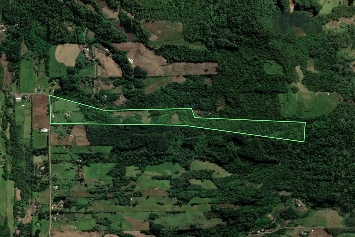 Imagem de satélite do imóvel rural em Teutônia (RS), com o contorno declarado no CAR desenhado por cima.