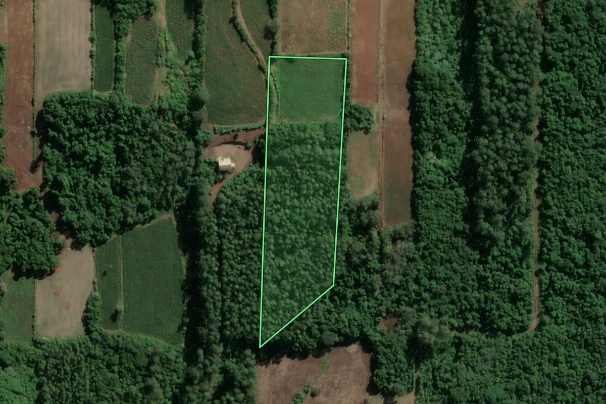 Imagem de satélite do imóvel rural em Teutônia (RS), com o contorno declarado no CAR desenhado por cima.