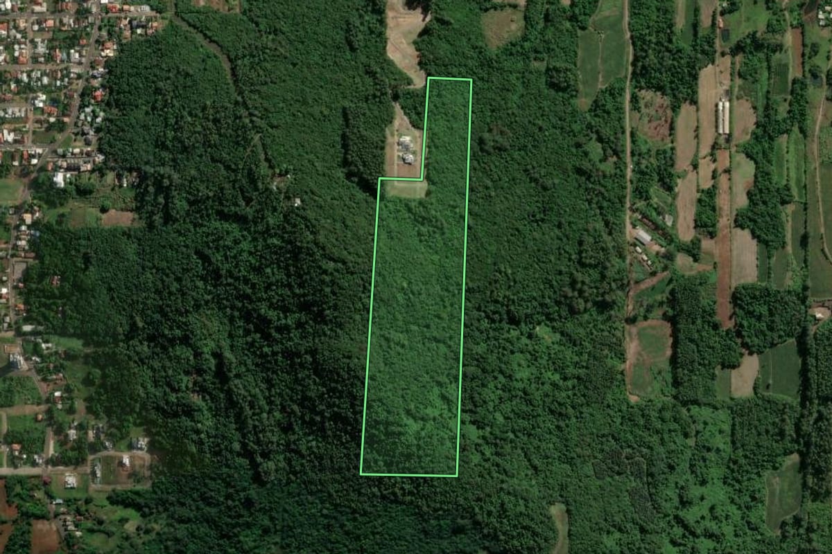 Imagem de satélite do imóvel rural em Teutônia (RS), com o contorno declarado no CAR desenhado por cima.