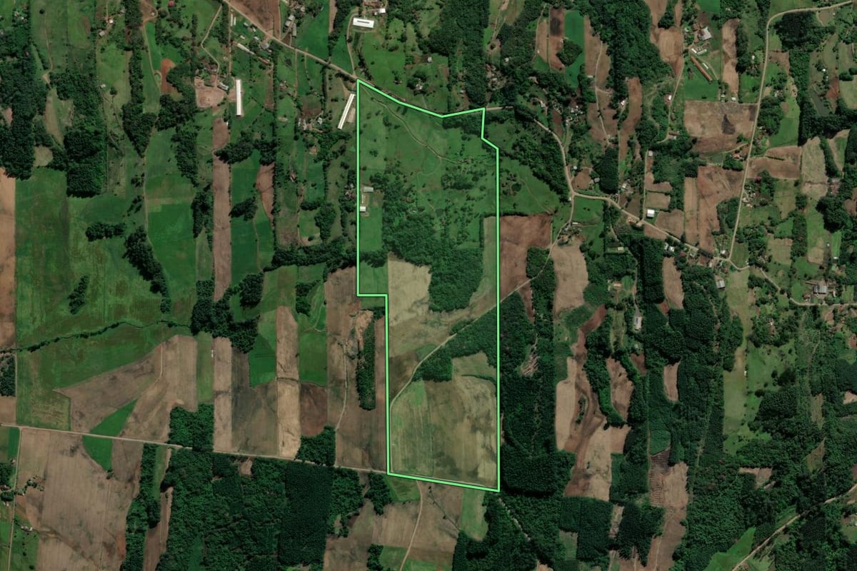 Imagem de satélite do imóvel rural em Teutônia (RS), com o contorno declarado no CAR desenhado por cima.