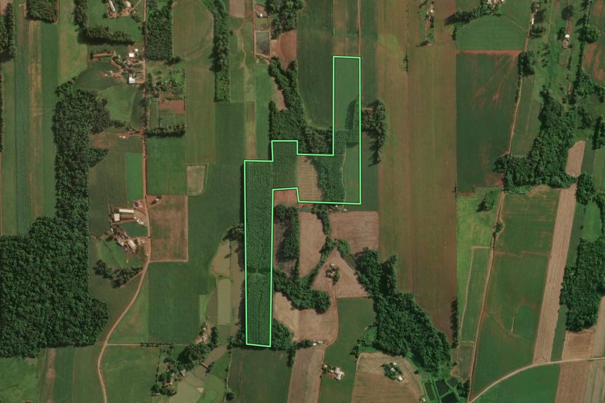 Imagem de satélite do imóvel rural em Teutônia (RS), com o contorno declarado no CAR desenhado por cima.